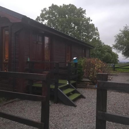Stay With Your Pet Killarney Exterior photo