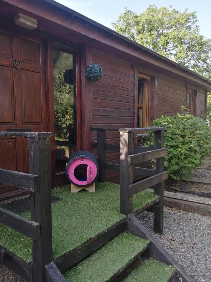 Stay With Your Pet Killarney Exterior photo