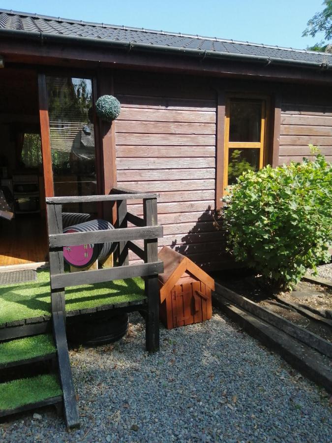 Stay With Your Pet Killarney Exterior photo